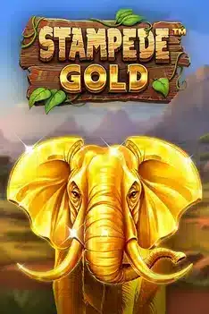 Casino Midarion Stampede Gold